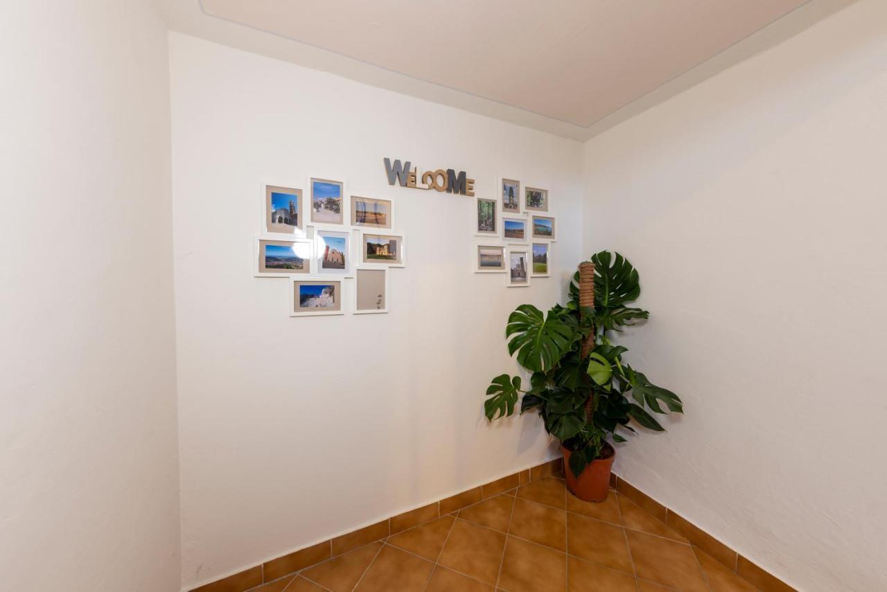 Casa Del Geco - La Natura Intorno A Te กาไมโยเร ภายนอก รูปภาพ