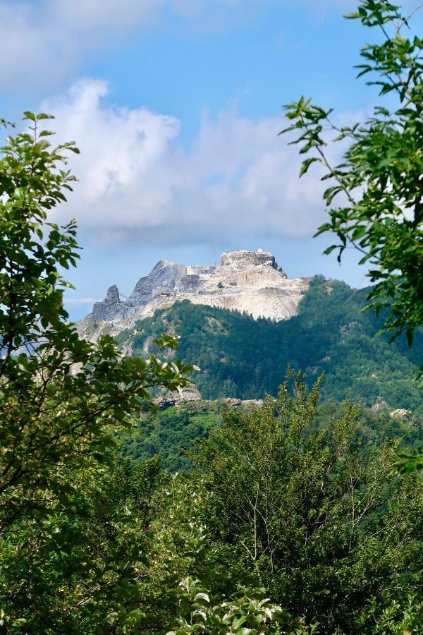 Casa Del Geco - La Natura Intorno A Te กาไมโยเร ภายนอก รูปภาพ