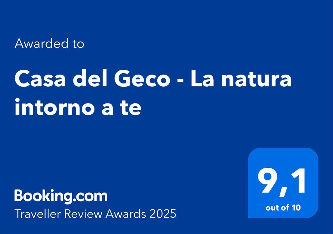 Casa Del Geco - La Natura Intorno A Te กาไมโยเร ภายนอก รูปภาพ