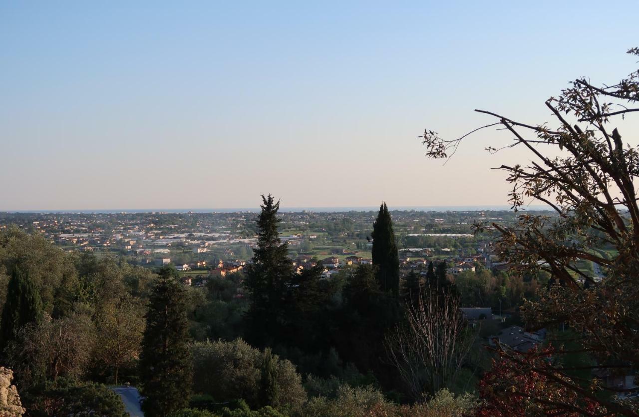 Casa Del Geco - La Natura Intorno A Te กาไมโยเร ภายนอก รูปภาพ